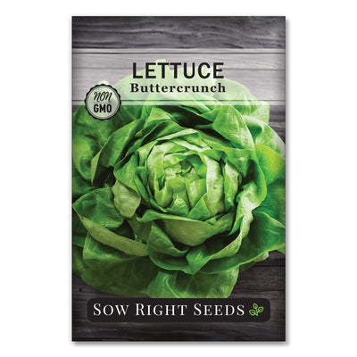 buttery velvety salad greens butterhead buttercrunch lettuce seeds for sale