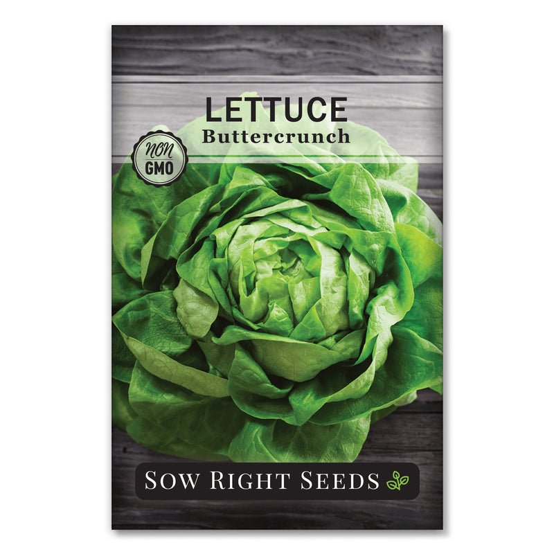buttercrunch lettuce seed packet