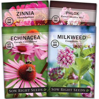 butterfly seed packet collection with 4 varieties for sale