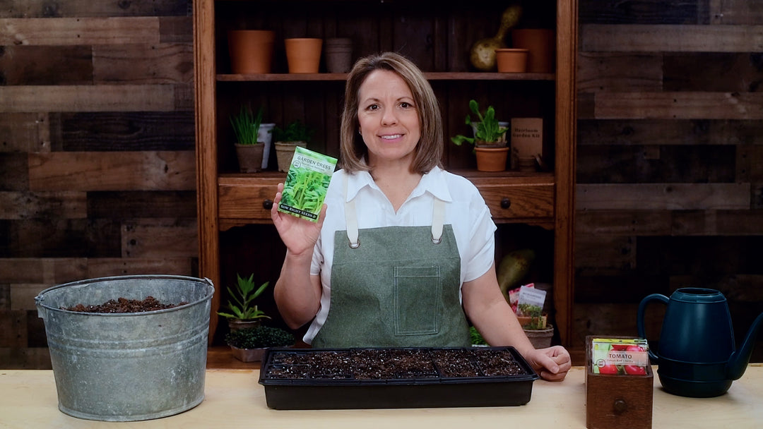 garden cress seeds in amharic Cress Seeds for Planting