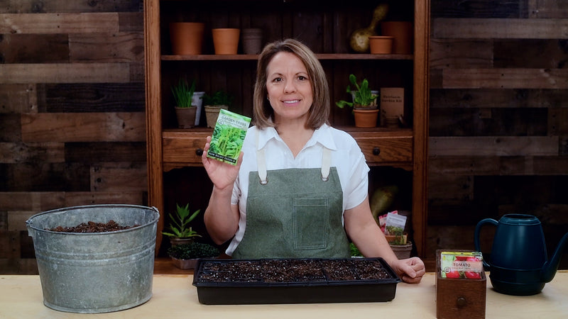 cress product video why you should grow cress seeds sow right seeds video media