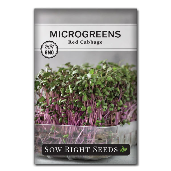 How to Grow Cress Microgreens  Planter's Library – Sow Right Seeds