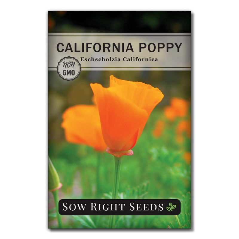 orange poppy flower seed packet
