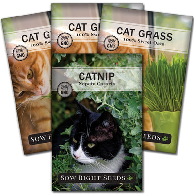 cat collection for starter kit containing 4 seed packets catnip and cat grass