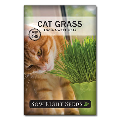 pet friendly Cat Grass seeds for sale