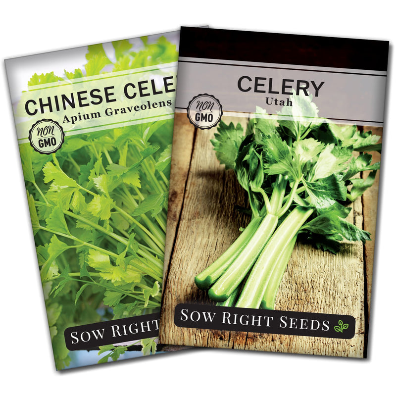 Celery Collection
