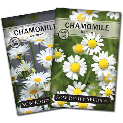 chamomile seed packet collection with 2 varieties for sale