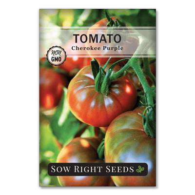 purple red cherokee tomato seeds for planting