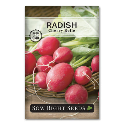 crispy crunchy large round mild red cherry belle radish seeds for sale