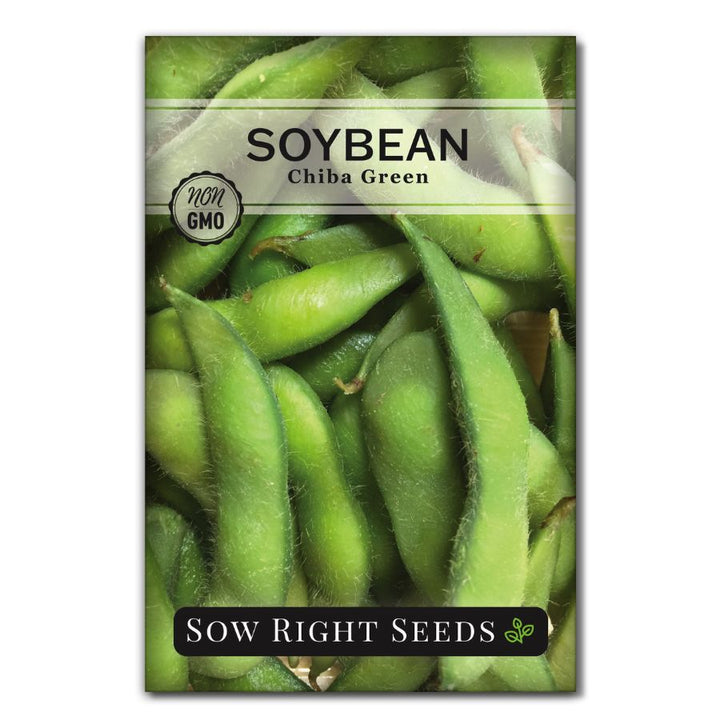 Chiba Green Soybean Seeds for Planting
