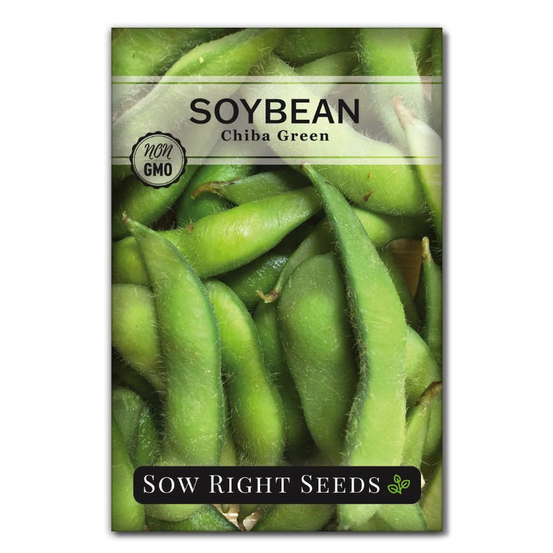 tasty green edamame soy bean seeds for sale