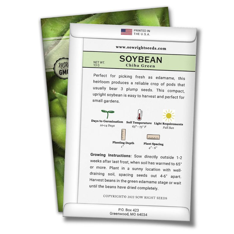how to grow the best soy bean plants