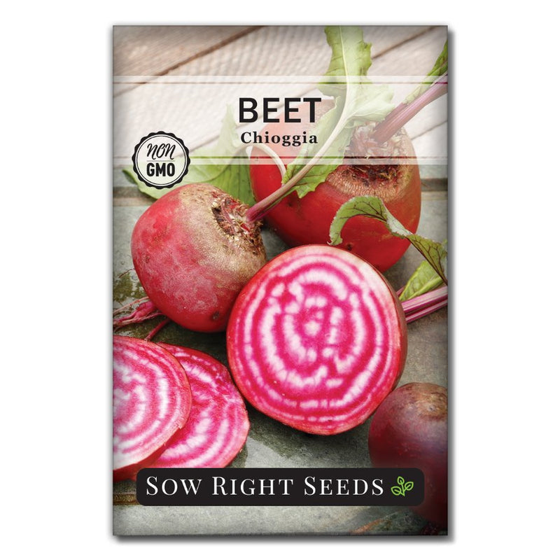 200 Chioggia Beet Seeds – Non-GMO Heirloom, Candy Stripe Beets, USA Seller