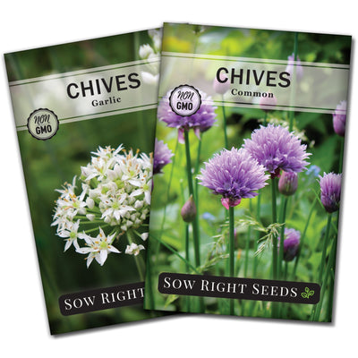 chives garden seed packet collection with 2 varieties for sale
