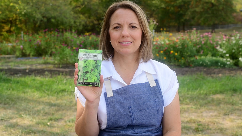 cilantro product video why you should grow cilantro seeds sow right seeds video media