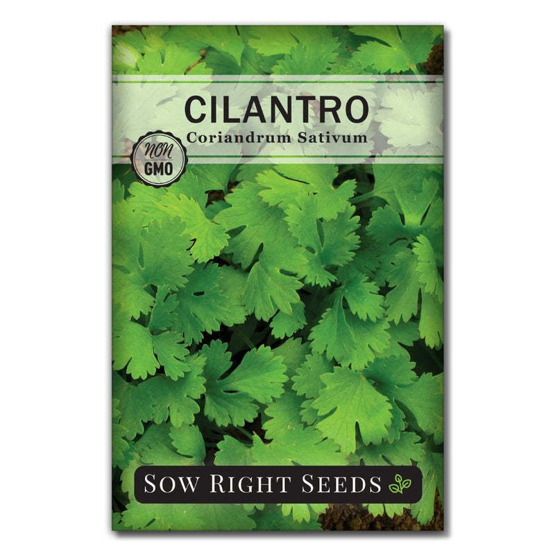 cilantro coriander seed packet for planting