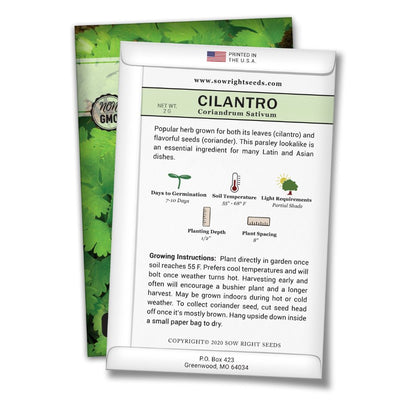 how to grow the best cilantro plants