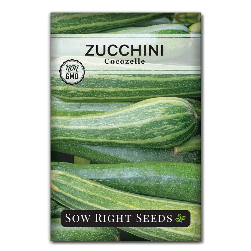 classic Italian squash bush style green stripe striped cocozelle zucchini seeds for growing