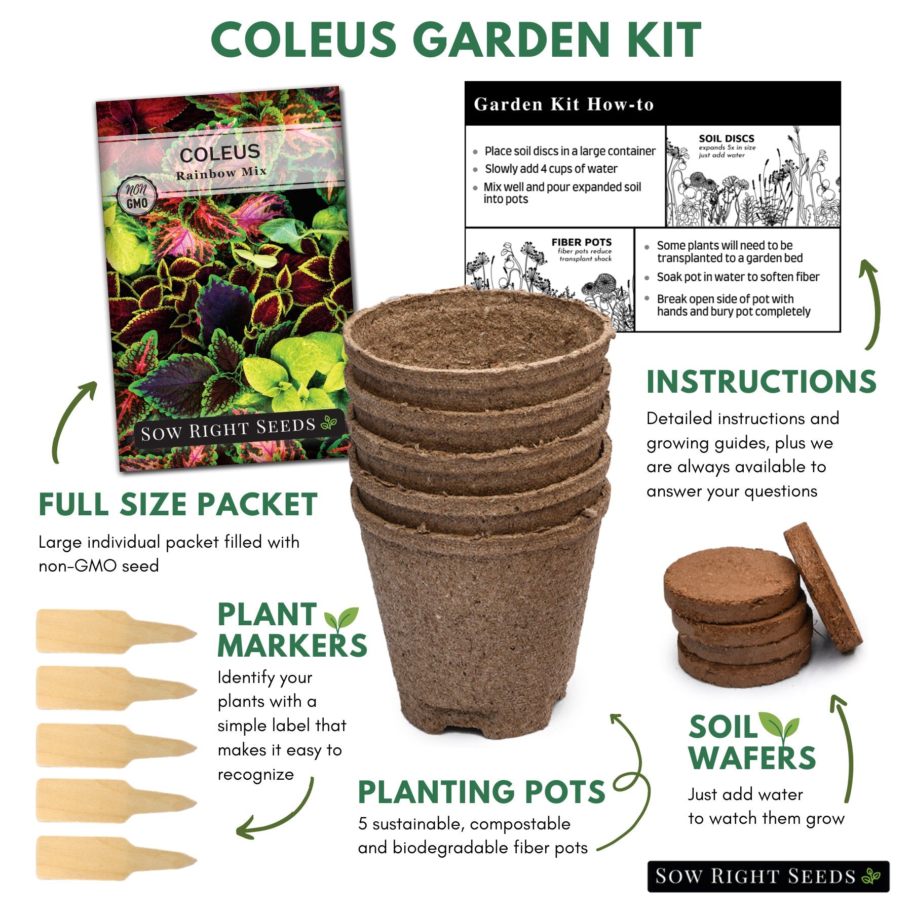 Coleus Plant Diagram