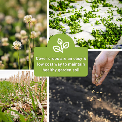 Erosion Control Cover Crop Seed Mix