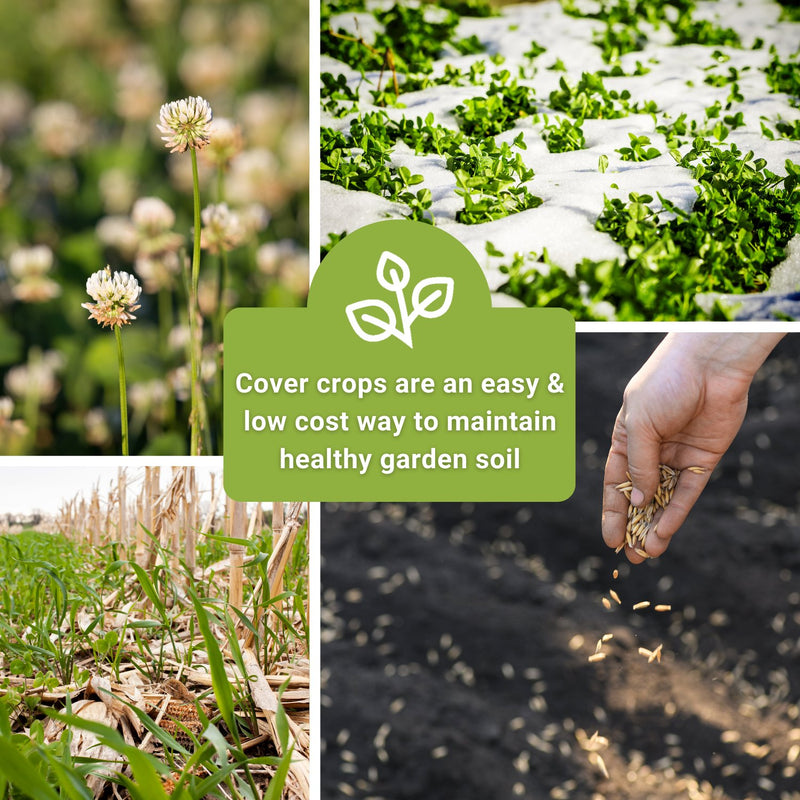 Erosion Control Cover Crop Seed Mix