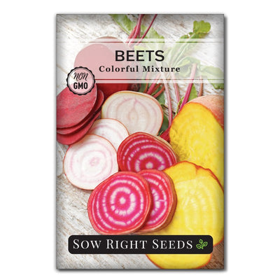 fiber nutrient packed vegetable colorful mixture beet seeds for sale