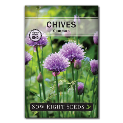 herb common chives seeds