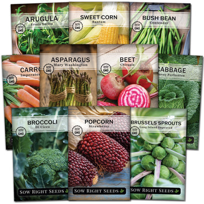 essential corn bean carrot cabbage and more seed packets