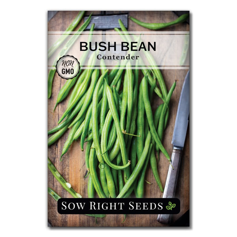 Contender Bush Bean for Planting | Productive Stringless Variety – Sow ...