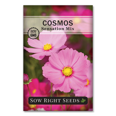 mixed pink, rose, white and crimson cosmos flower seeds for sale