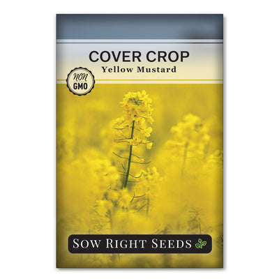 bright yellow brassica soil cover crop yellow mustard seeds for sale
