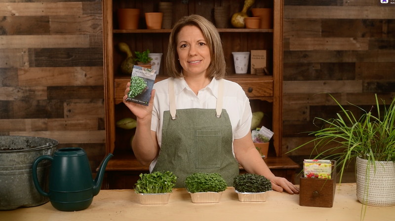 radish microgreens product video why you should grow radish microgreens seeds sow right seeds video media