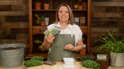 salad microgreens kit product video why you should grow salad microgreens seeds sow right seeds video media