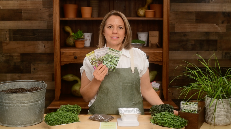 superfood microgreens kit product video why you should grow superfood microgreens seeds sow right seeds video media