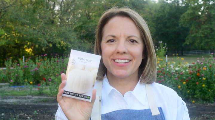 Casper Pumpkin Seeds to Plant | White Ornamental & Cooking Pumpkin