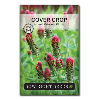 bright red nitrogen fixing clover seeds for sale