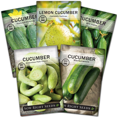 cucumber seed packet collection with 5 varieties of seeds for sale