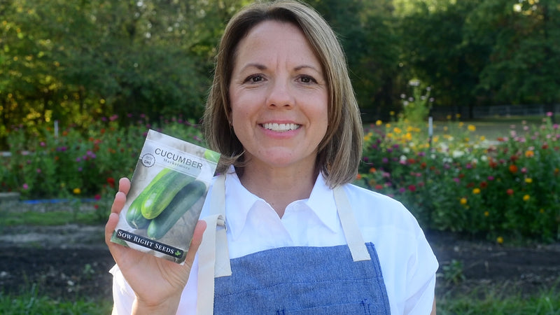 marketmore cucumber product video why you should grow marketmore cucumber seeds sow right seeds video media