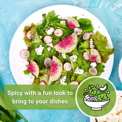 watermelon radish served in a salad spicy with a fun look to bring to your dishes