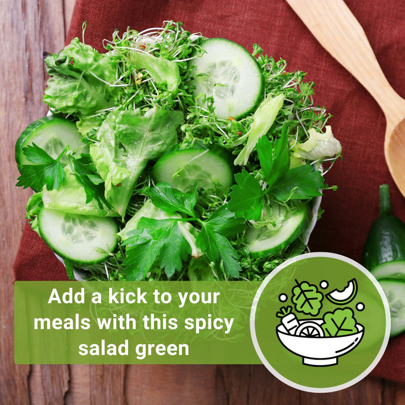 Garden Cress Add a Kick to Your Meals with This Spicy Salad Green