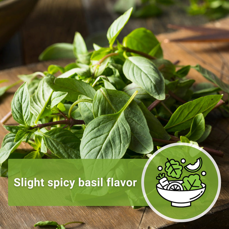 cut basil slight spicy basil flavor