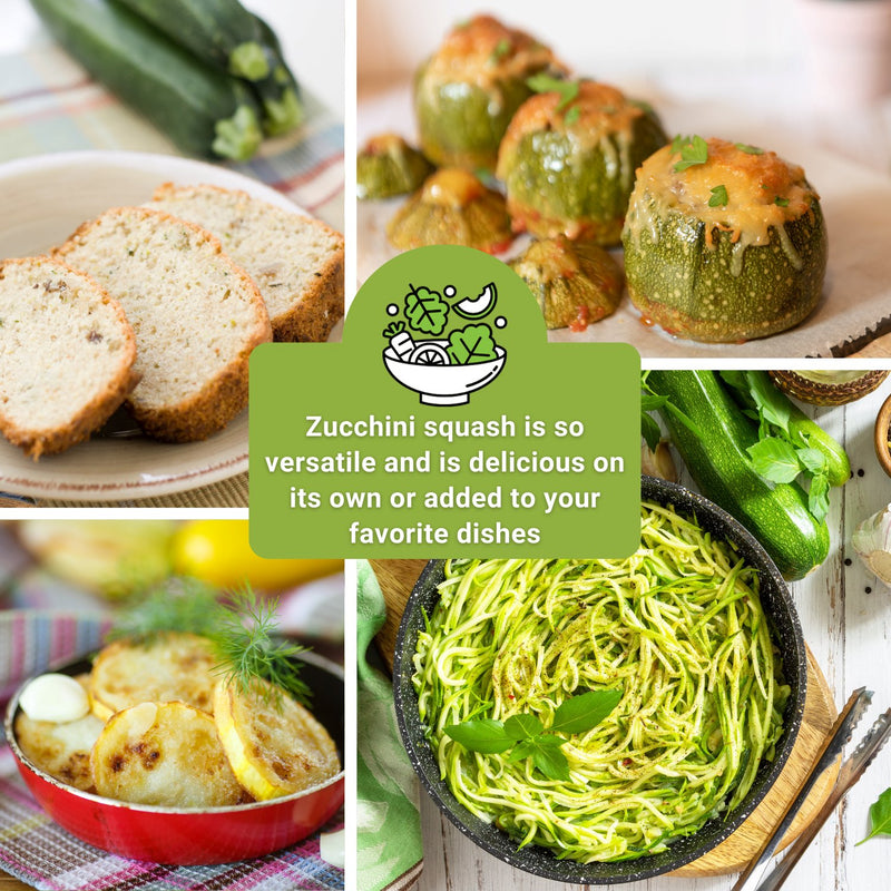 zucchini collection zucchini squash is so versatile and is delicious on its own or added to your favorite dishes
