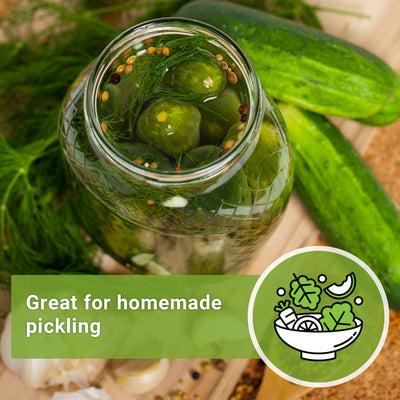 homemade dill pickles great for home made pickling