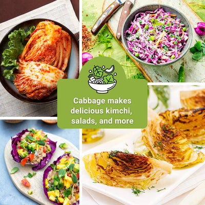 Cabbage Collection