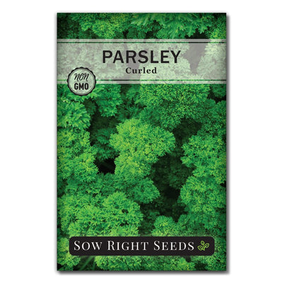 herb curled parsley seeds