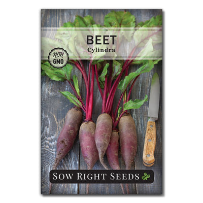 formanova canning cylindra beet seeds for sale
