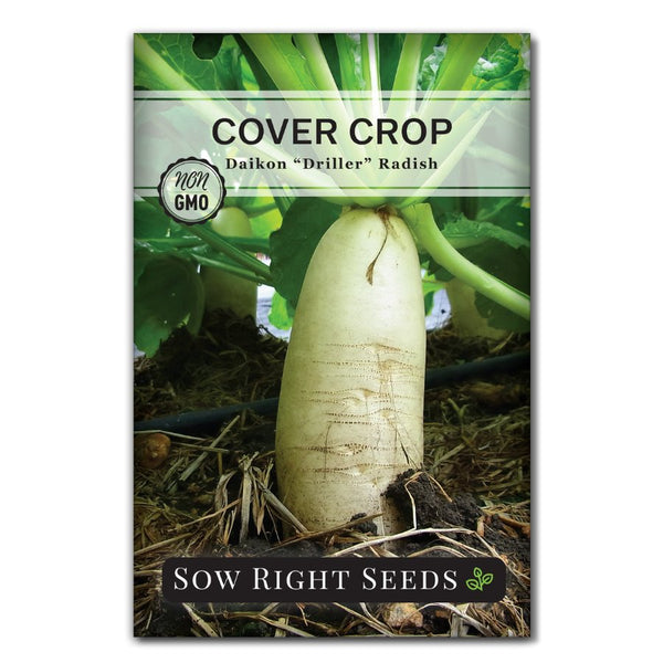 Daikon Daikon (Radish) - (-700g) – J Passport Selection