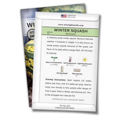 how to grow the best delicata winter squash plants