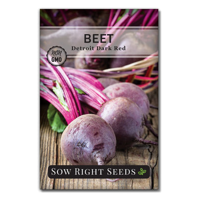 vegetable detroit dark red beet seeds