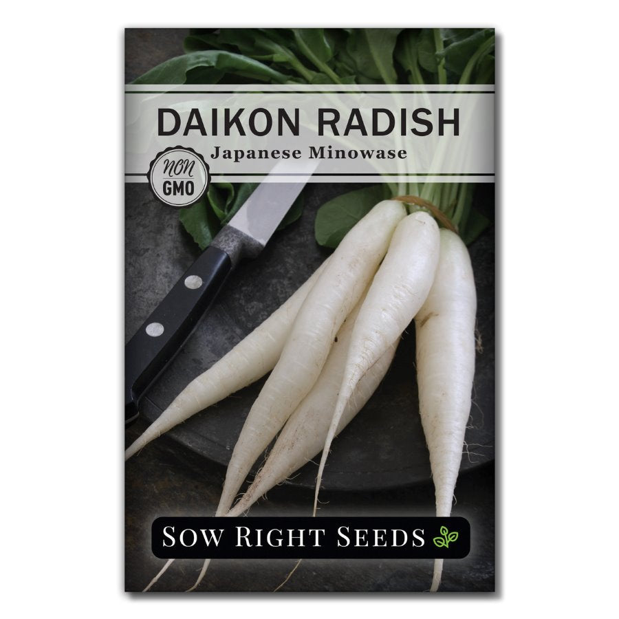 Japanese Minowase Daikon Radish Seeds for Planting Easy to Grow Sow